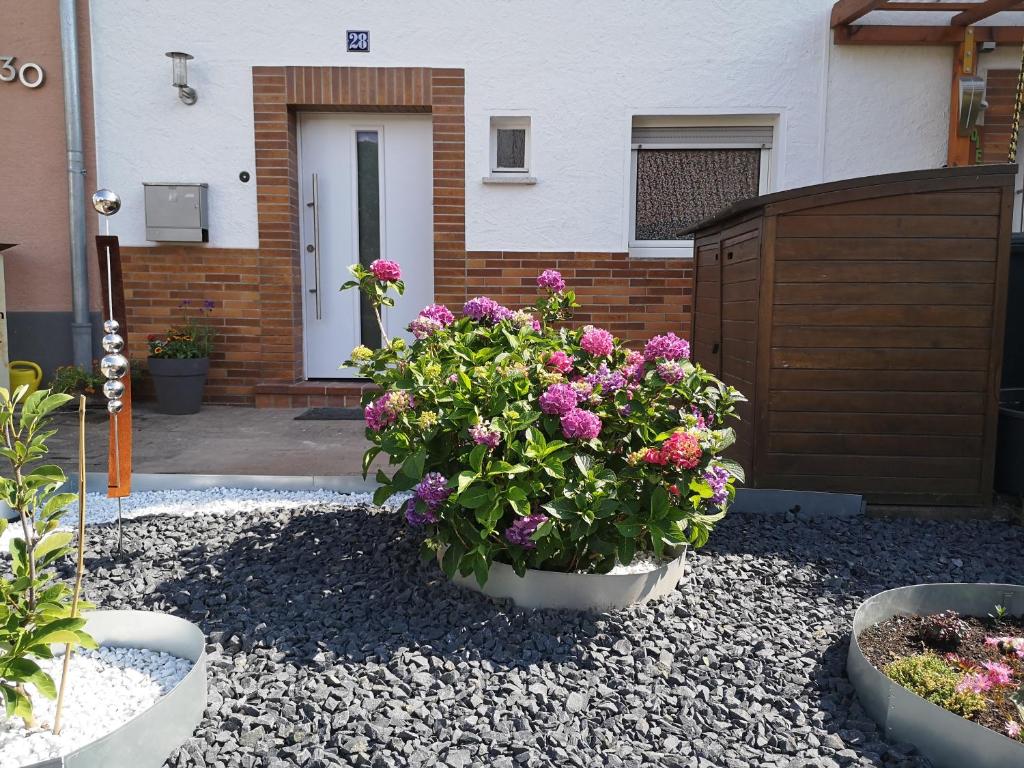 un jardín con flores rosas en un patio en Ferienwohnung Palatina Annweiler, en Annweiler am Trifels