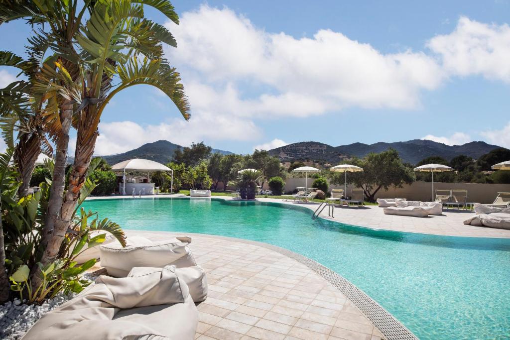 a swimming pool with chairs and a palm tree at Hotel San Teodoro in San Teodoro