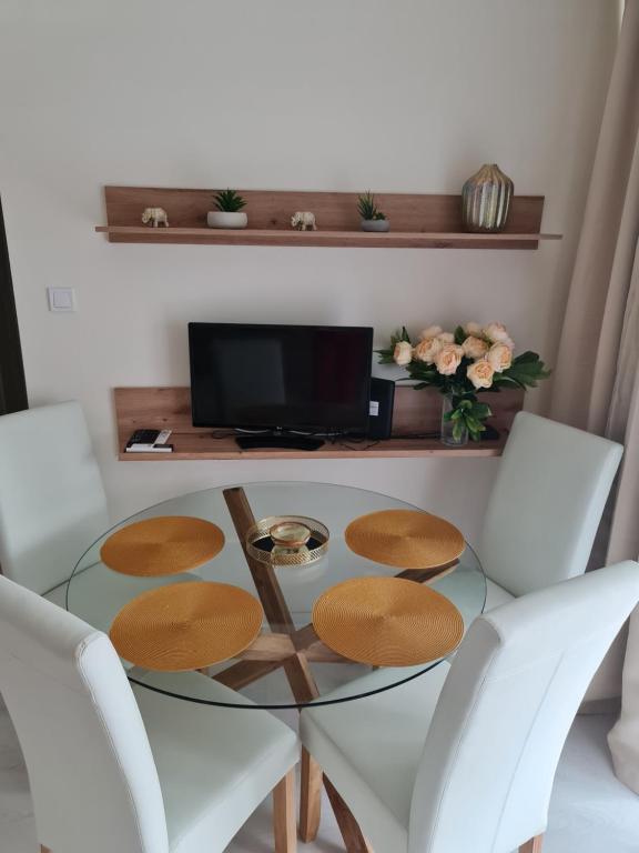 Televízia a/alebo spoločenská miestnosť v ubytovaní Kolibri Apartman