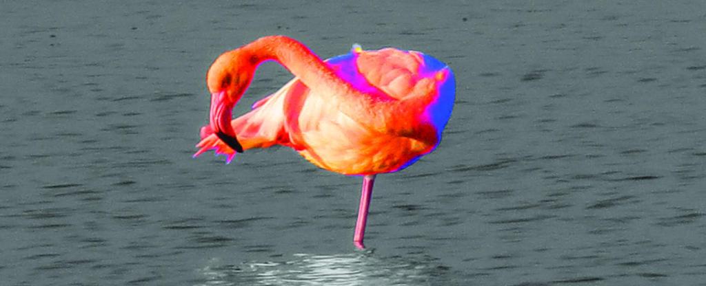 Best Western Hotelio Montpellier Sud - Resim 33