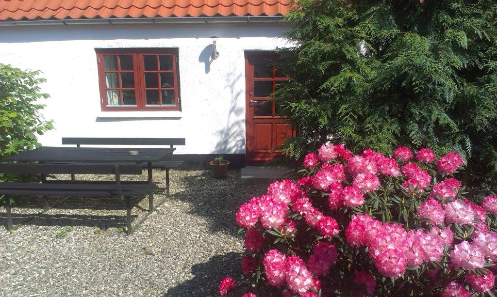 Zahrada ubytování Vranum Guesthouse