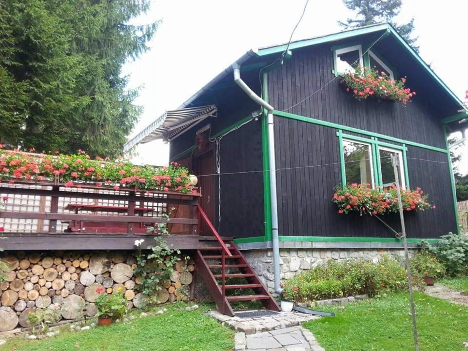 a house with flowers on the side of it at Casa Riciu in Buşteni