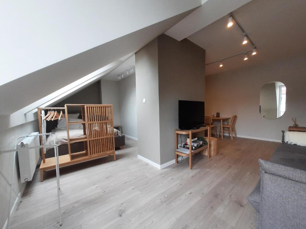Telewizja i/lub zestaw kina domowego w obiekcie PLUSK Apartments Mrągowo