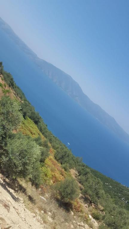 Villa Fredi - Imazhi 12