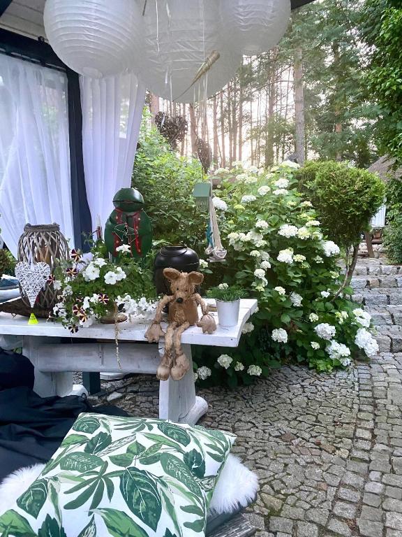 Vonkajšia záhrada v ubytovaní Villa Siesta
