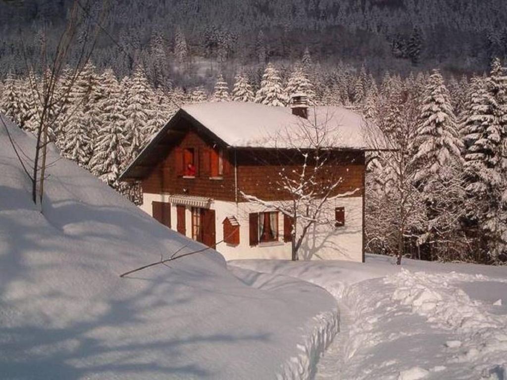 Charming Chalet in Ventron with Terrace during the winter
