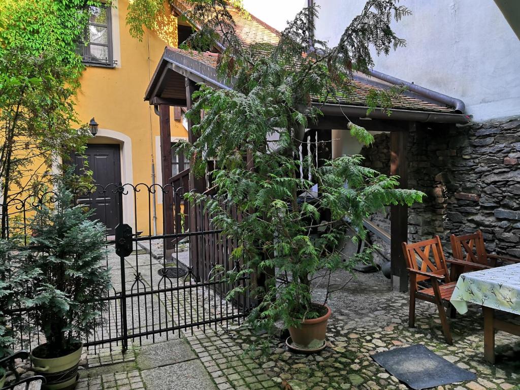 Zahrada ubytování Apartmány v centru u Moravců