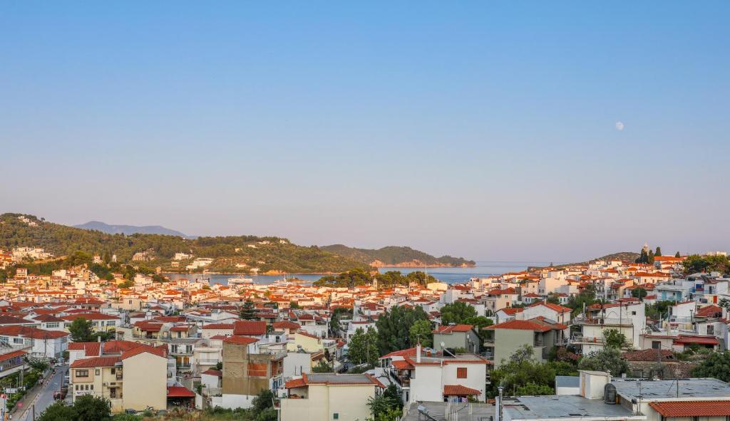 Antonia House - Housity