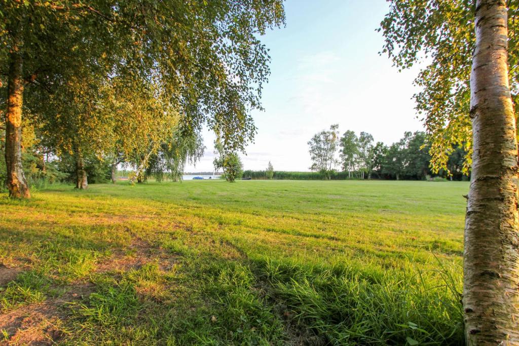 un prato con alberi sullo sfondo di Schilfkante - Am Ufer a Wieck