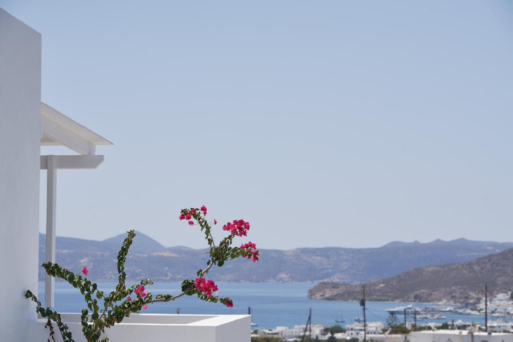 Glarakia Studios - 4