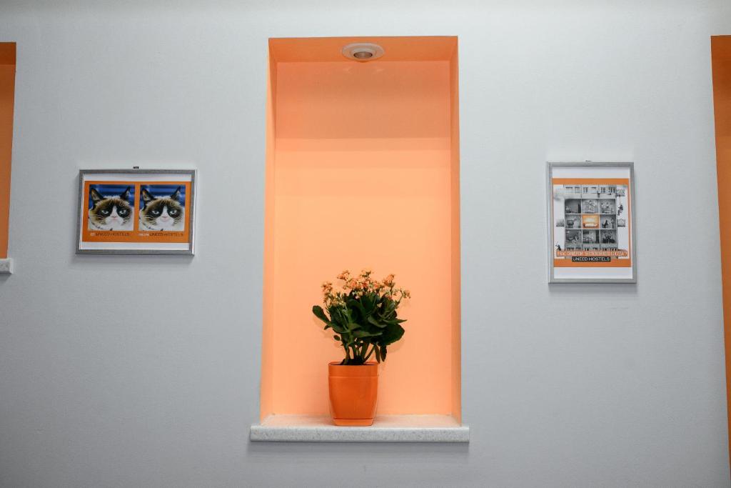 Fotografie z fotogalerie ubytování U-First v Kyjevě