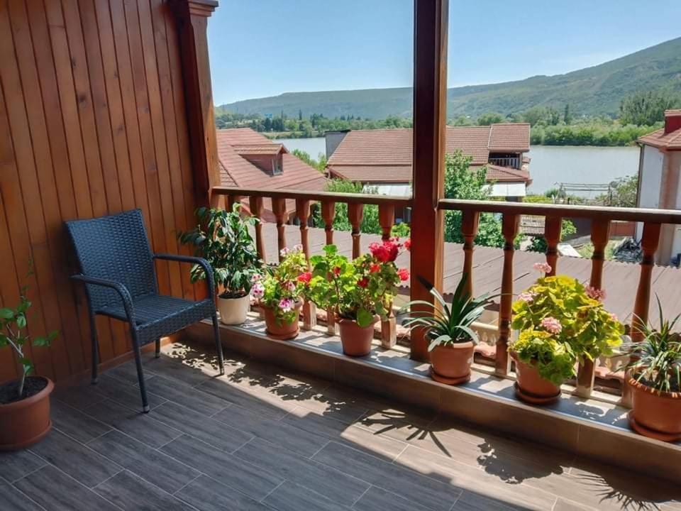 Příroda nedaleko bed and breakfast