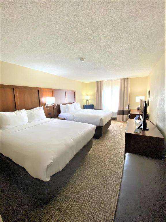 Comfort Inn - 标准的大号床，有两张大床 - 不吸烟