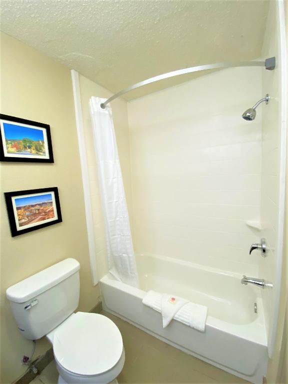 Comfort Inn Charleston South photo