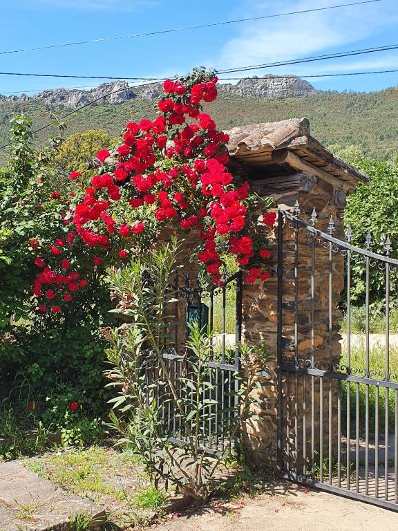 Paisaje cerca of this country house