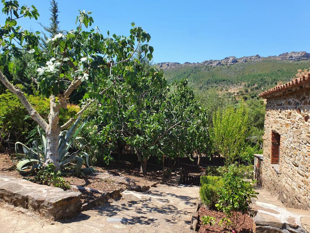 Paisaje cerca of this country house