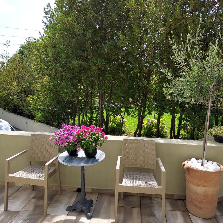 Zahrada ubytování Villa Bloom