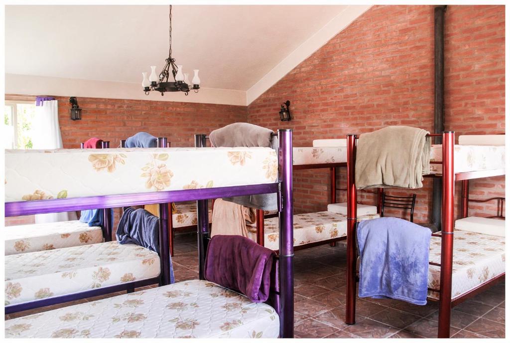 Двухъярусная кровать или двухъярусные кровати в номере El Camino Hostel