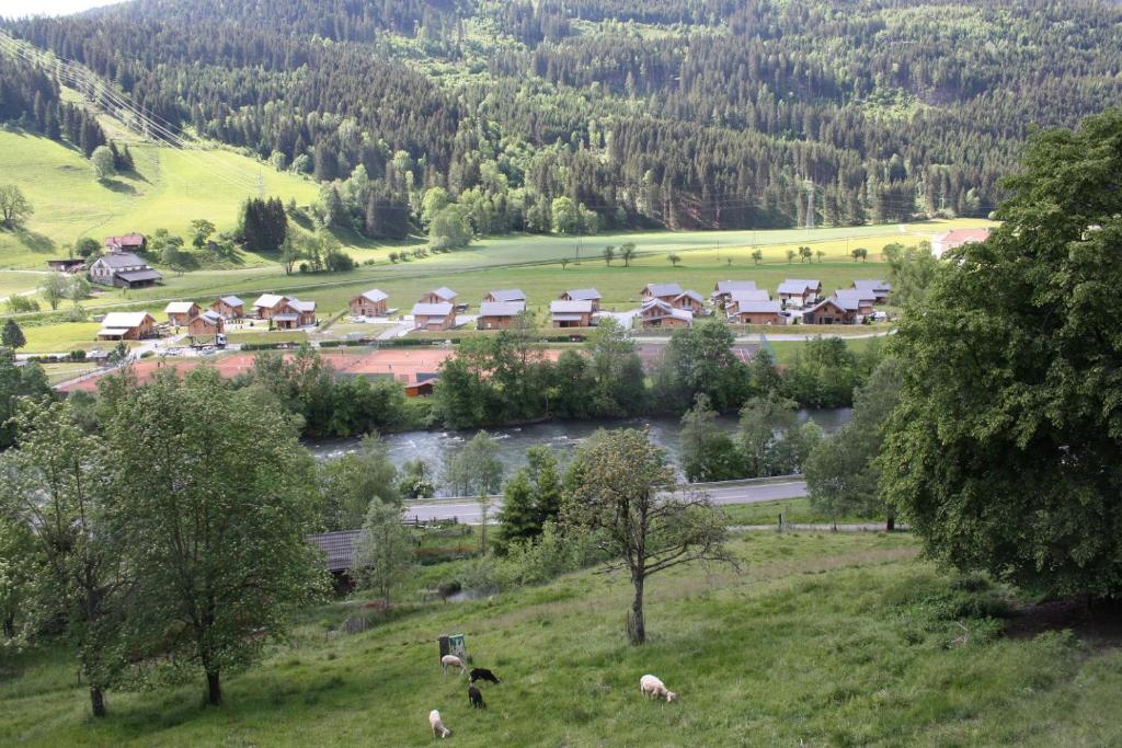Příroda nedaleko chaty