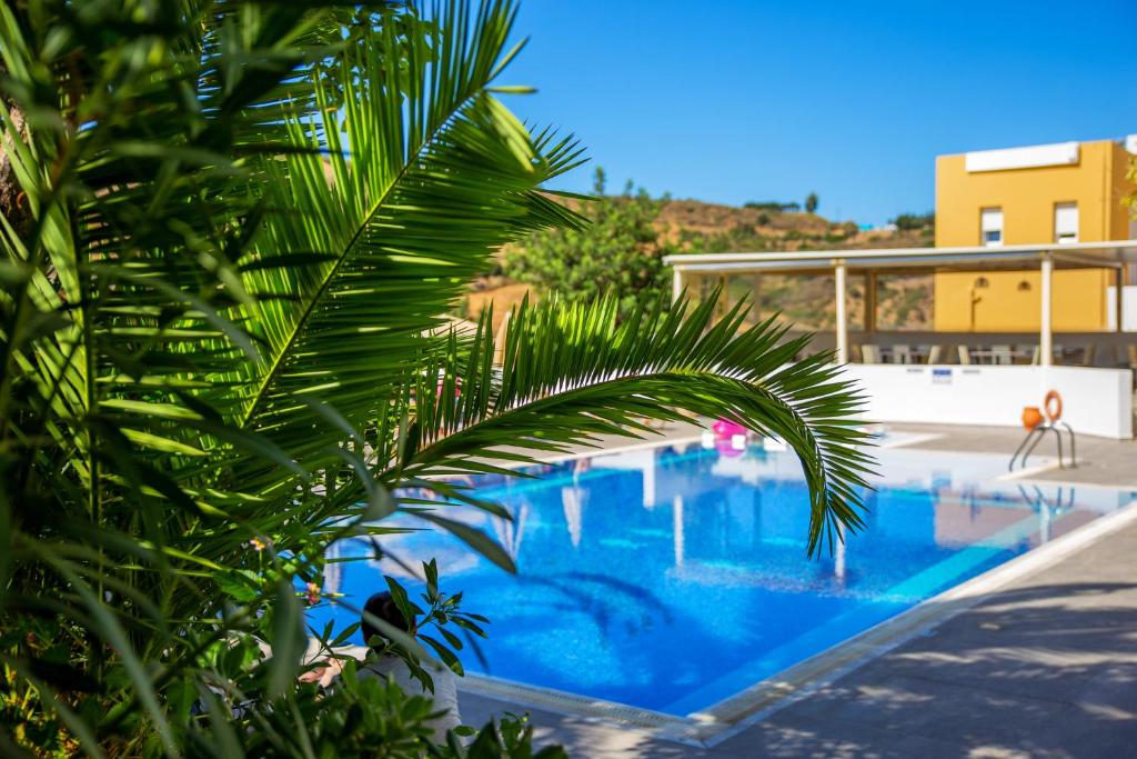 a palm tree in front of a swimming pool at Xidas Garden in Bali