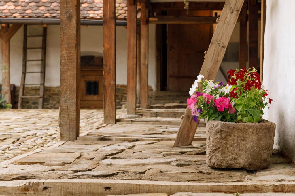 Fotografie z fotogalerie ubytování Viscri 44 v destinaci Viscri