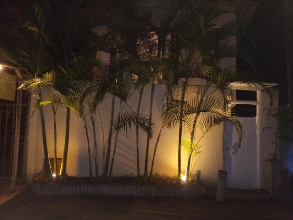 un grupo de palmeras delante de una casa por la noche en Casa da Cristina, en Trancoso