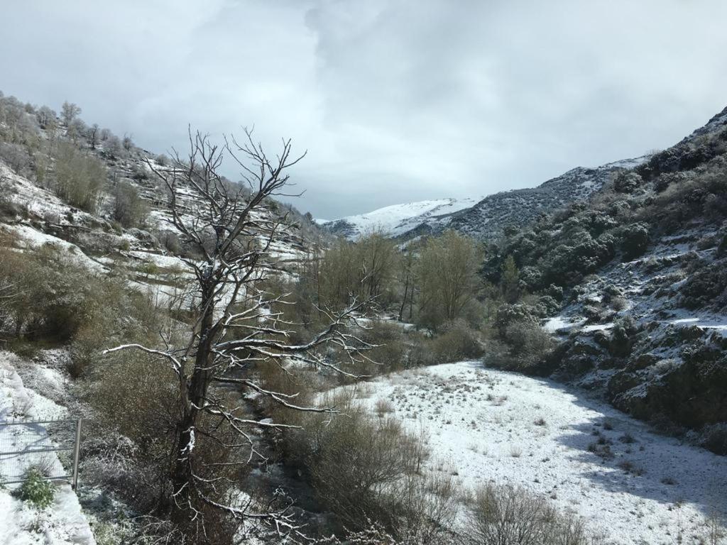 Paisaje cerca de este hostal o pensión