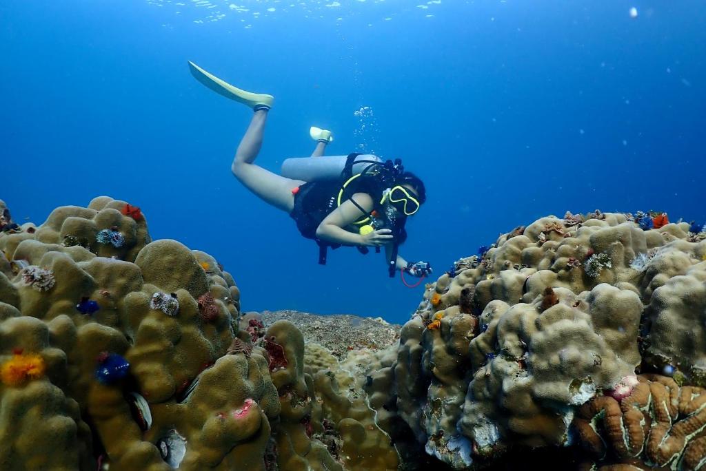 The Dearly Koh Tao Hostel-PADI 5 Star Dive Resort - 13