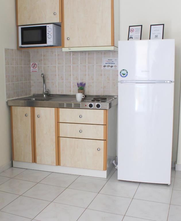 Kuchyň nebo kuchyňský kout v ubytování Iason Apartments