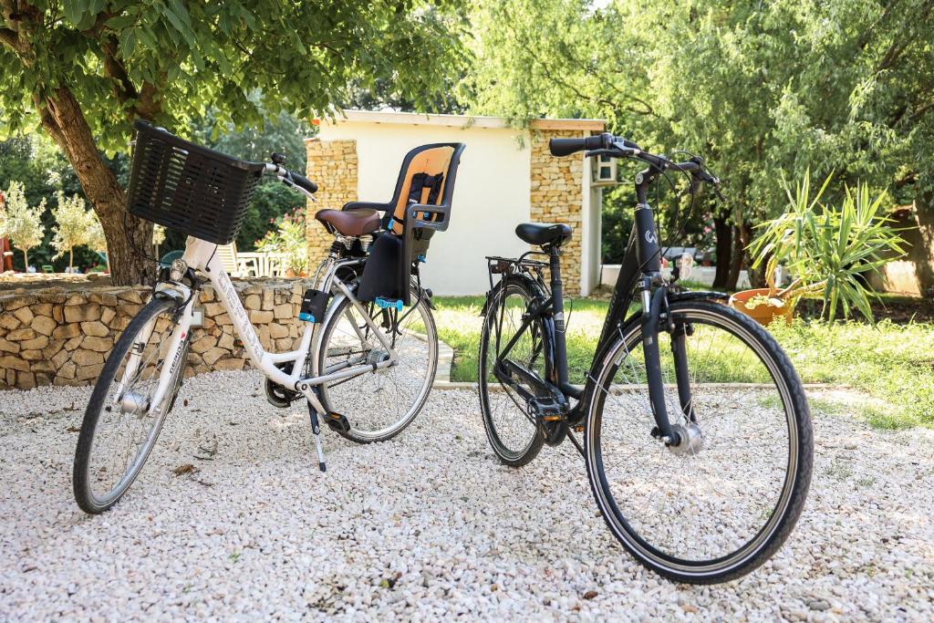 Jazda na bicykli v okolí ubytovania Kis Veréb Vendégház
