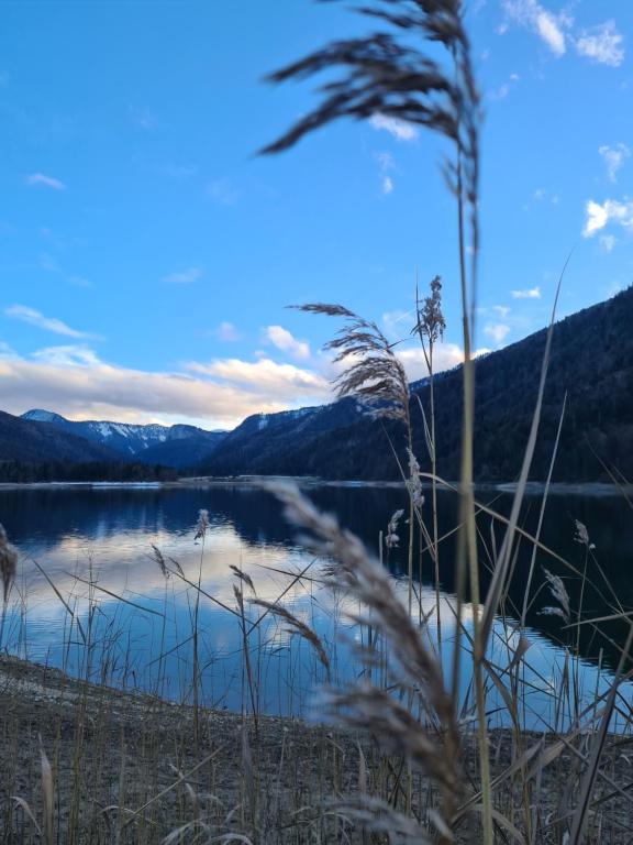 Ferienhaus Gerlach - Departamento