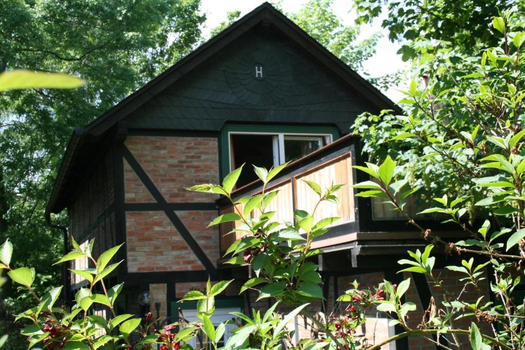 ein kleines Haus umgeben von Bäumen und Sträuchern in der Unterkunft Harz-Chill Wernigerode in Wernigerode