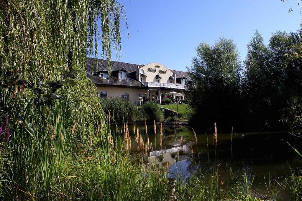 Příroda nedaleko hotelu