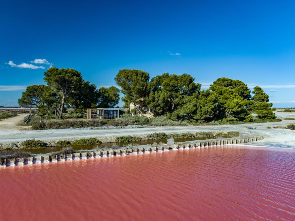 une masse d'eau rouge avec des arbres en arrière-plan dans l'établissement Cabane ELECTRE Aigues-Mortes, à Aigues-Mortes