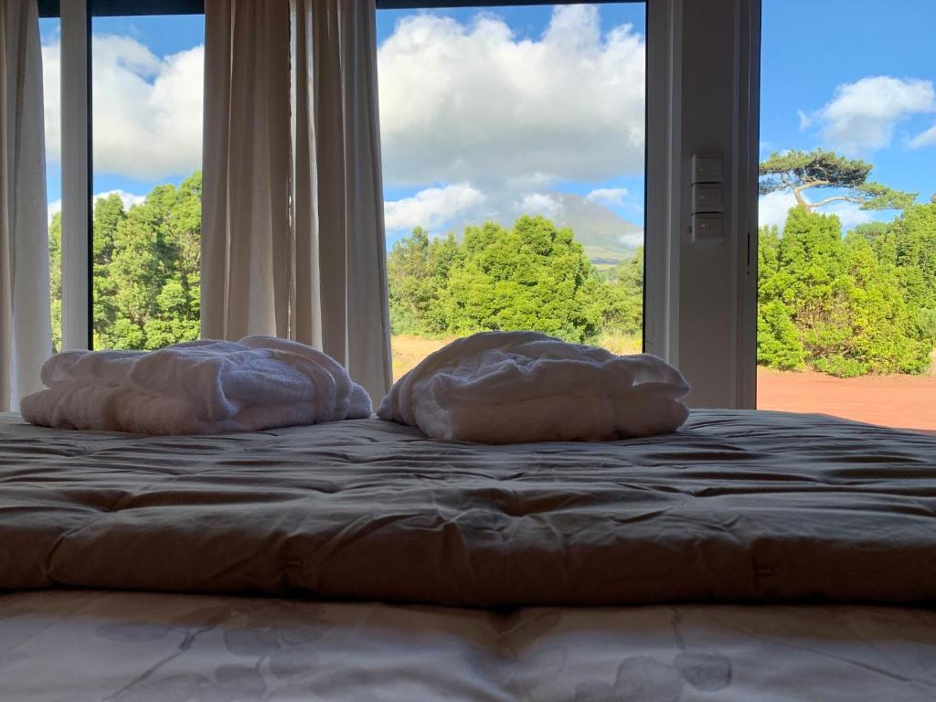Postel nebo postele na pokoji v ubytování PicoTerrace