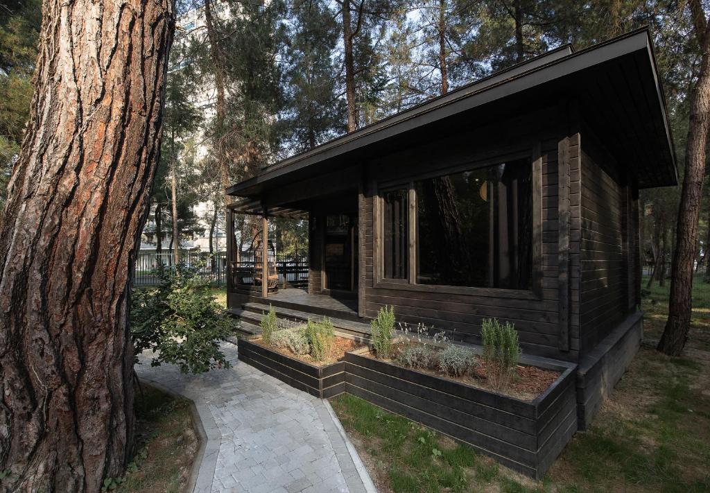 a small cabin in the woods with a tree at Abna Hotel in Pizunda