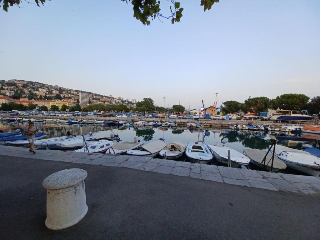 IN the CENTAR APARTMENT - 9