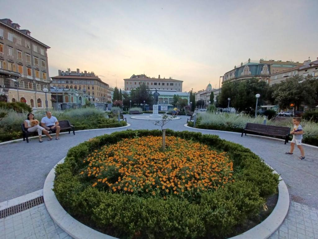 IN the CENTAR APARTMENT - 8