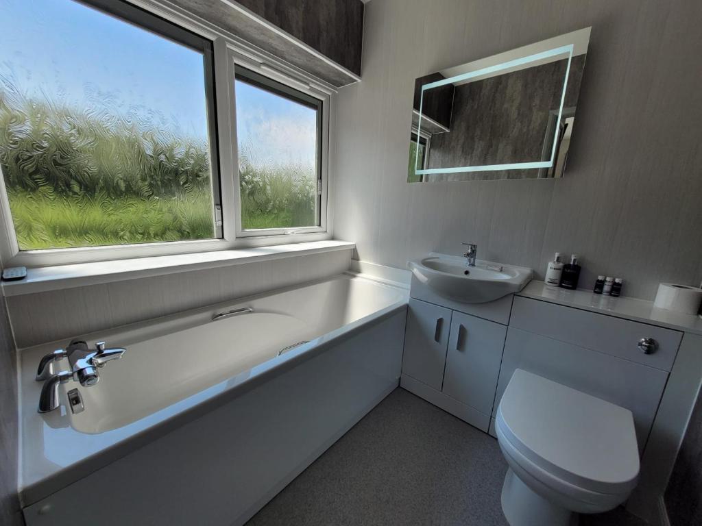 a bathroom with a sink and a toilet and a window at South Sands Hotel in Weston-super-Mare