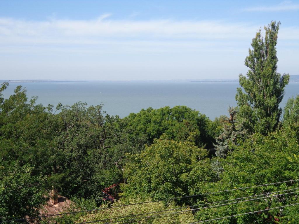 a view of the ocean through the trees at Traumblick Appartement am Balaton in Fonyód