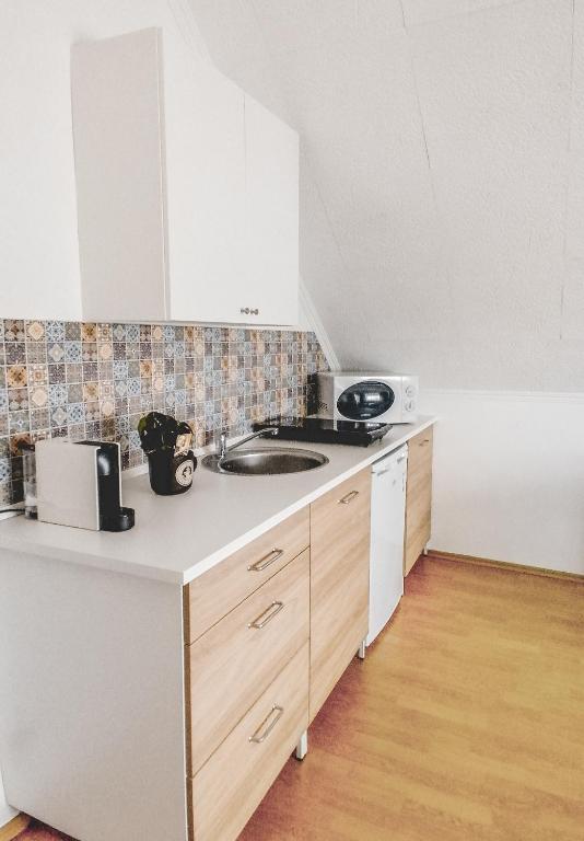 Kuchyň nebo kuchyňský kout v ubytování Anita Apartman