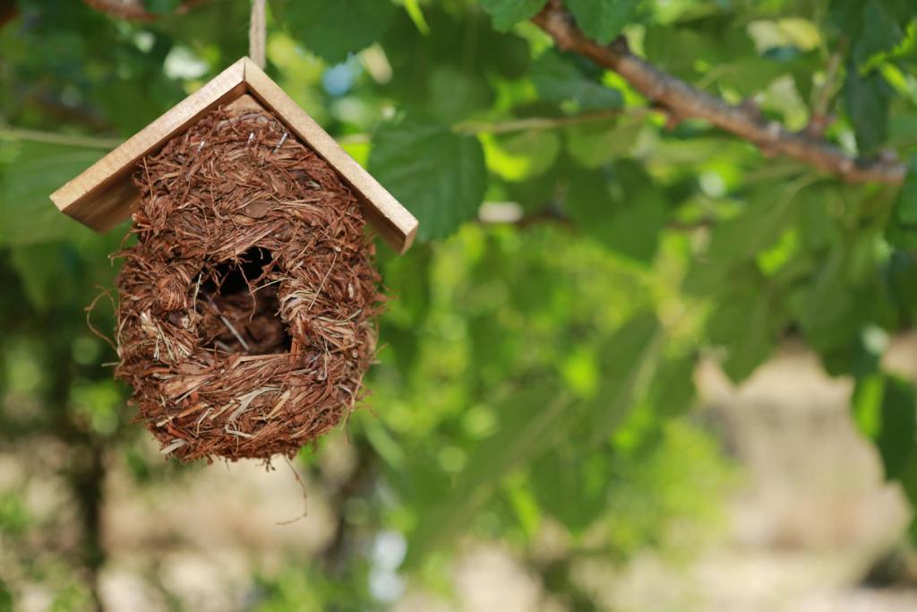 Zdjęcie z galerii obiektu STATHI'S COTTAGE w mieście Divarata