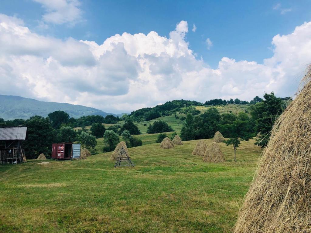a field with stacks of hay and a barn at La Container in Curtea de Argeş