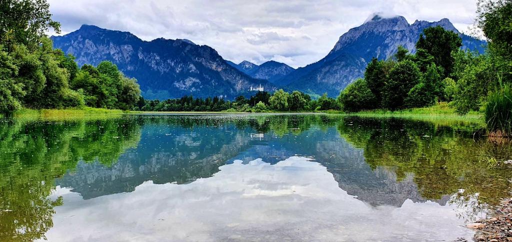 Panorama Apartments - 16