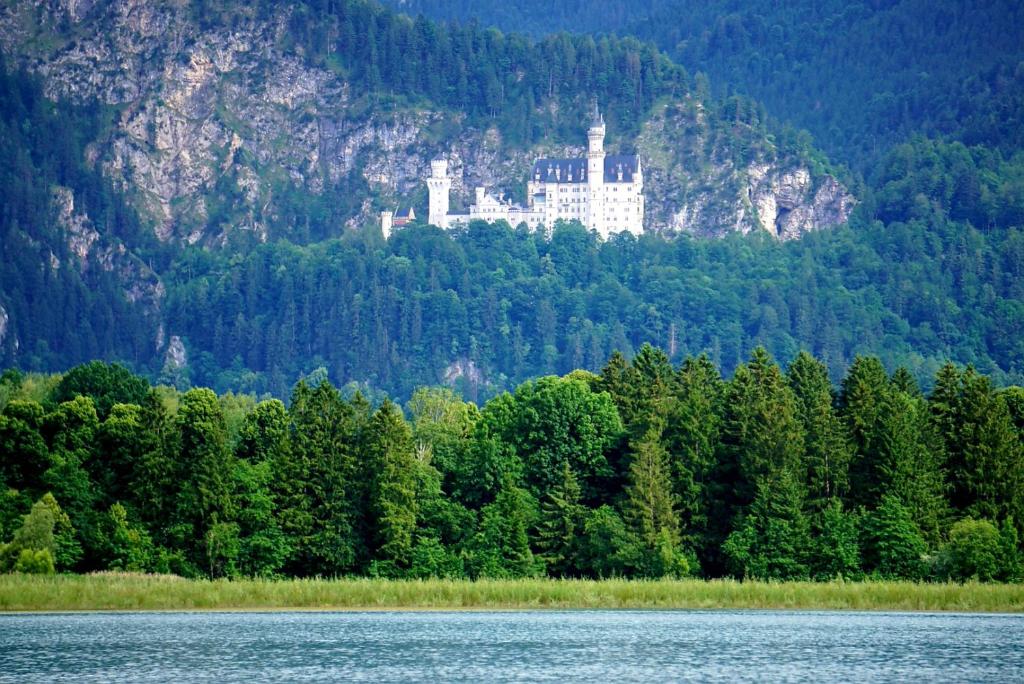 Noahs Apartments - 18