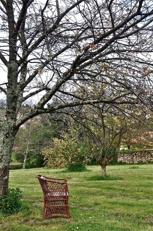 Zahrada ubytování Hotel Rural La Raposera