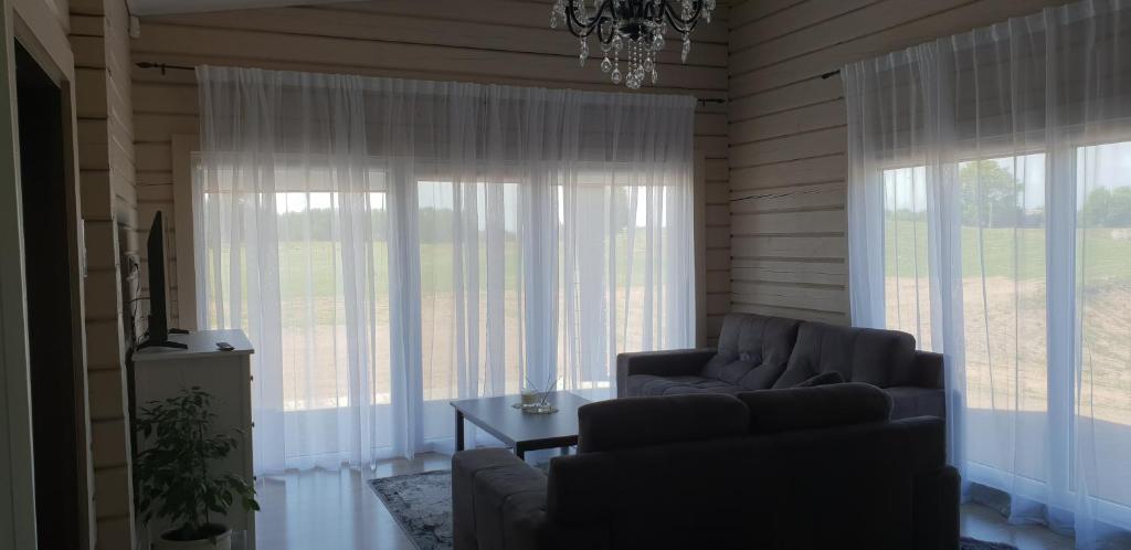 sala de estar con sofá y 2 ventanas grandes en Lazariškio apartamentai, en Martyniškėnai