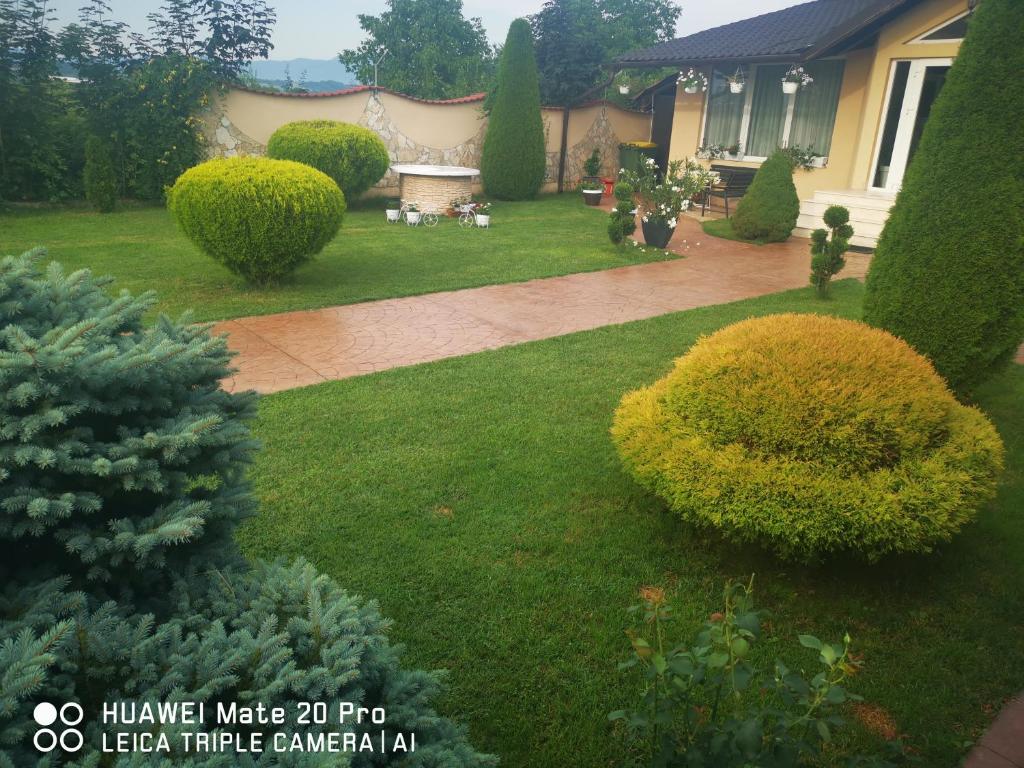 a yard with bushes and a house with a garden at Pensiunea Terra in Păcăleşti