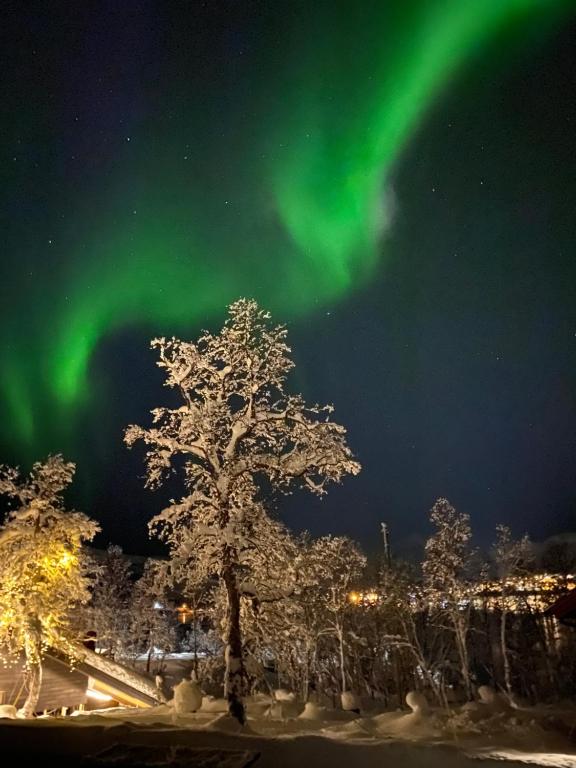 Fotografie z fotogalerie ubytování Håkøya Lodge v destinaci Tromsø