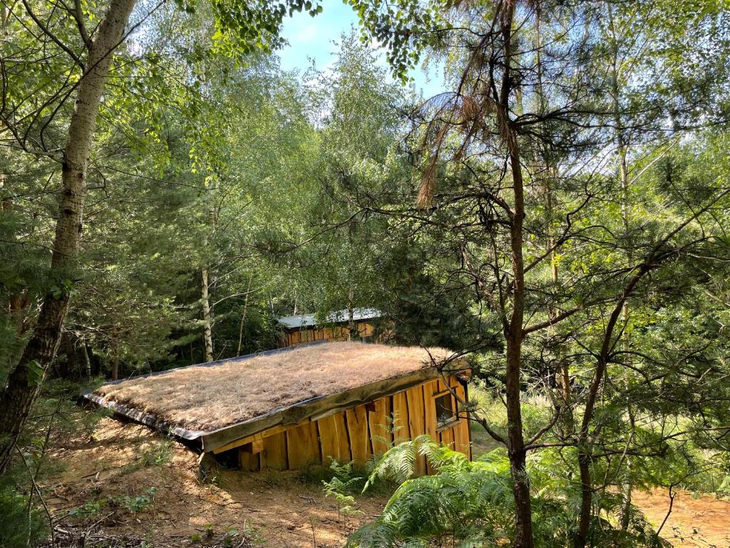 Boutique Glamping Divja DiVine - Casa De Una Habitación